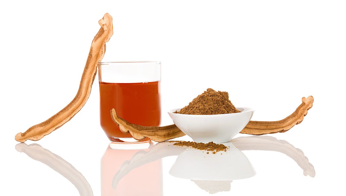 Reishi Tee: Eine Tasse voller Entspannung